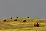 Bales On A Hill_05582